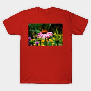 Echinacea Purpurea T-Shirt